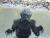 swamp mistress's Avatar